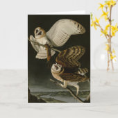 Audubons Vögel von Amerika (Tyto alba) Karte (Gelbe Blume)