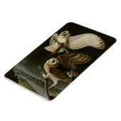 Audubons Vögel von Amerika (Tyto alba) Magnet (Linke Seite)