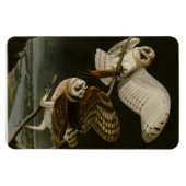 Audubons Vögel von Amerika (Tyto alba) Magnet (Horizontal)