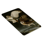 Audubons Vögel von Amerika (Tyto alba) Magnet (Rechte Seite)