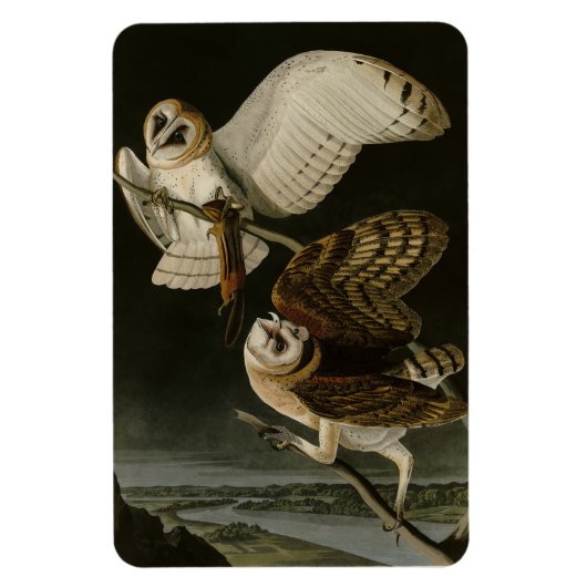 Audubons Vögel von Amerika (Tyto alba) Magnet (Vertikal)