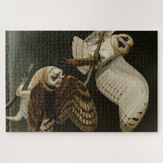 Audubons Vögel von Amerika (Tyto alba) Puzzle (Horizontal)