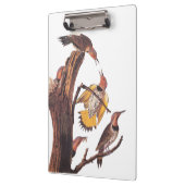 Audubons Vogelfamilie Golden-Winged Woodpecker Klemmbrett (Links)