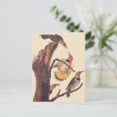 Audubons Vogelfamilie Golden-Winged Woodpecker Postkarte (Stehend Vorderseite)