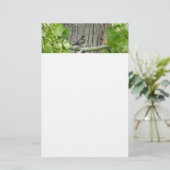 Audubons Warbler-Naturfotografie Briefpapier (Stehend Vorderseite)