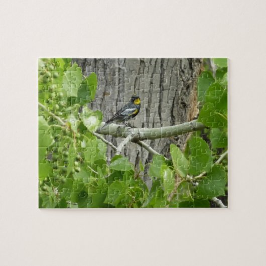 Audubons Warbler-Naturfotografie Puzzle (Horizontal)