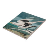 Audubons weißschwanziger Tropicvogel Fliese (Seite)