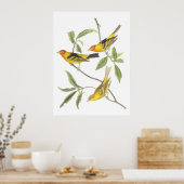 Audubons Western Tanager Poster (Küche)
