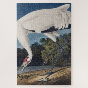 Audubon's Whooping Crane Watercolor Illustration Puzzle
