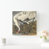 Audubons Whooping-Kranich Quadratische Wanduhr (Zuhause)