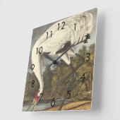 Audubons Whooping-Kranich Quadratische Wanduhr (Winkel)