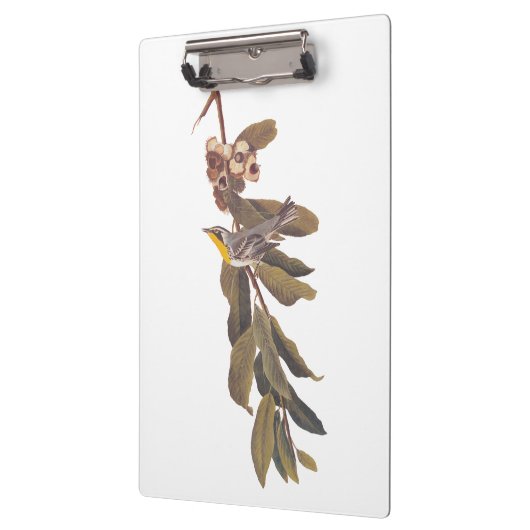 Audubons Yellowthroat-Warbler-Vogel auf Baumzweig Klemmbrett (Links)