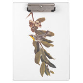 Audubons Yellowthroat-Warbler-Vogel auf Baumzweig Klemmbrett (Vorderseite)