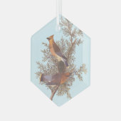 Audubons Zeder-Waxwing-Vogelparade auf dem Evergre Ornament Aus Glas (Vorderseite Links)