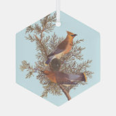 Audubons Zeder-Waxwing-Vogelparade auf dem Evergre Ornament Aus Glas (Rückseite)