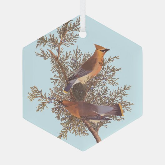 Audubons Zeder-Waxwing-Vogelparade auf dem Evergre Ornament Aus Glas (Rückseite)