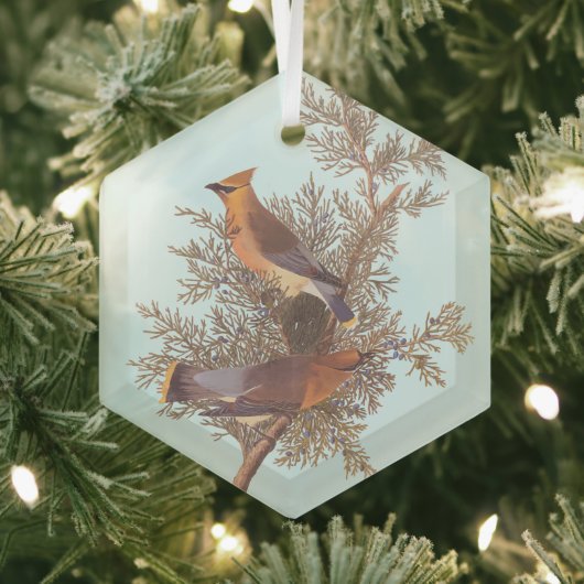 Audubons Zeder-Waxwing-Vogelparade auf dem Evergre Ornament Aus Glas (Insitu)