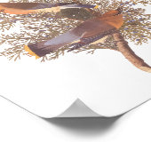 Audubons Zeder-Waxwing-Vogelparade auf dem Evergre Poster (Ecke)