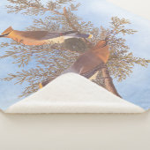 Audubons Zeder-Waxwing-Vogelparade auf dem Evergre Sherpadecke (3/4)