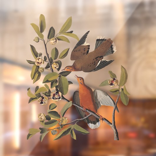 Audubons Zenaida-Taubenvögel auf Baumzweig Fensteraufkleber (Blatt 2)