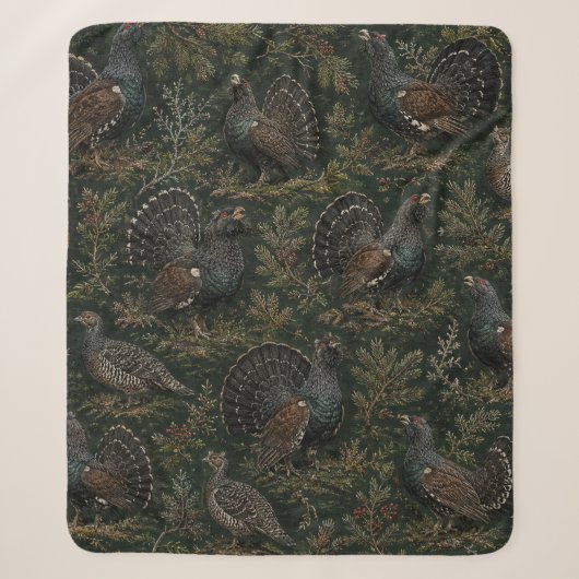 Auerhuhn Illustration Sherpadecke (Vorderseite)