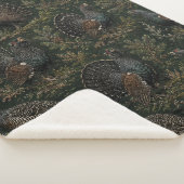 Auerhuhn Illustration Sherpadecke (3/4)
