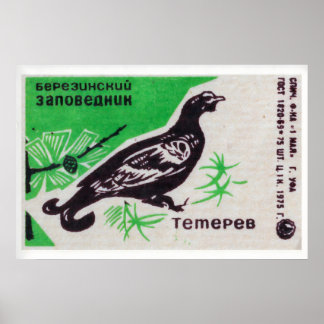 Auerhuhn-Streichholzschachtel-Kunstprint, russisch Poster