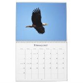 Auf Adlerwings Kalender (Feb 2027)