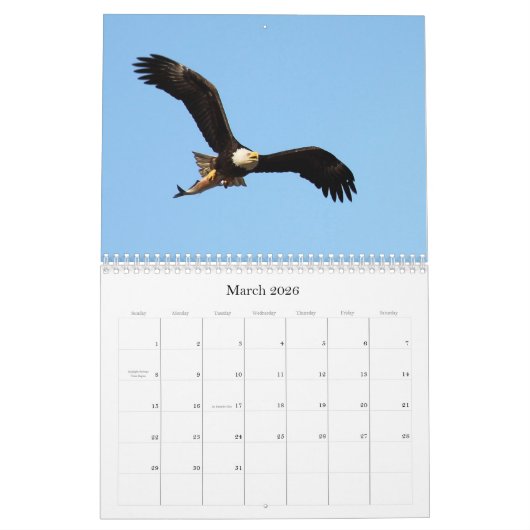 Auf Adlerwings Kalender (Mär 2026)