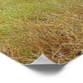 Auf das Plakat (Ecke)