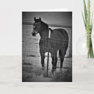 "Auf deinem hohen Ross" Geburtstagskarte Karte