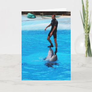 Auf Delfinen stehen Feiertagskarte