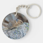 Auf dem Alarm Schlüsselanhänger (Rückseite)