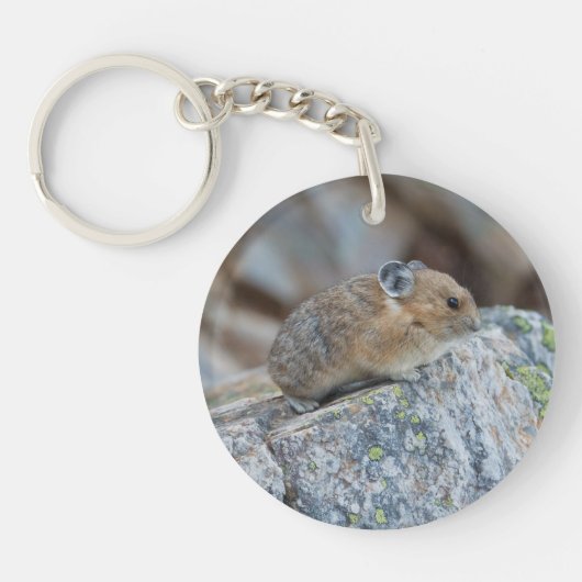 Auf dem Alarm Schlüsselanhänger (Vorderseite)