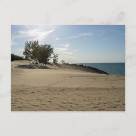 Auf dem Berg Baldy, Indiana Dunes National Park Postkarte