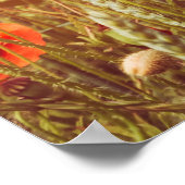 Auf dem Feld nahe Pappchen. Wilde Blume im Frühlin Poster (Ecke)