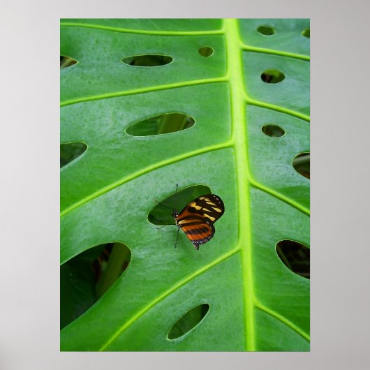 Auf dem Feld Poster (Vorne)