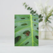 Auf dem Feld Postkarte (Stehend Vorderseite)