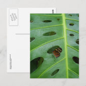 Auf dem Feld Postkarte (Vorne/Hinten)