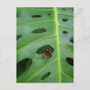 Auf dem Feld Postkarte