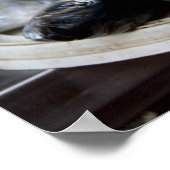 auf dem Fischmarkt Mercado de Peixe) Poster (Ecke)