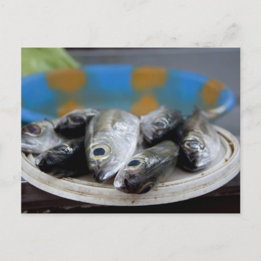 auf dem Fischmarkt Mercado de Peixe) Postkarte (Vorderseite)