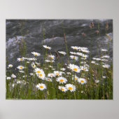 Auf dem Fluss Poster (Vorne)