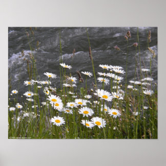 Auf dem Fluss Poster