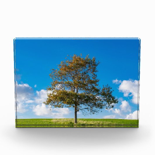Auf dem Gipfel der Welt Fotoblock (Vorderseite)