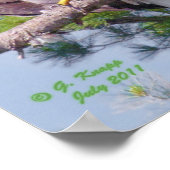 Auf dem höchsten Kiefernholz - Poster oder Druck (Ecke)