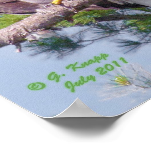 Auf dem höchsten Kiefernholz - Poster oder Druck (Ecke)