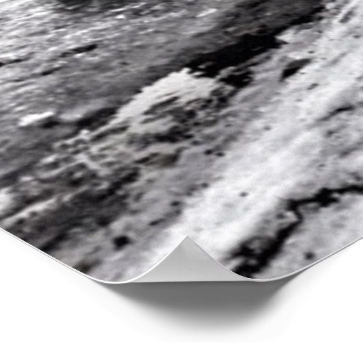 Auf dem Höcker Poster (Ecke)