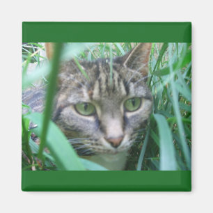Auf dem Jagd-Katzen-Magneten Magnet