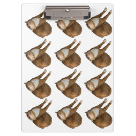 Auf-dem-Kopf-Sonnenkatze Klemmbrett